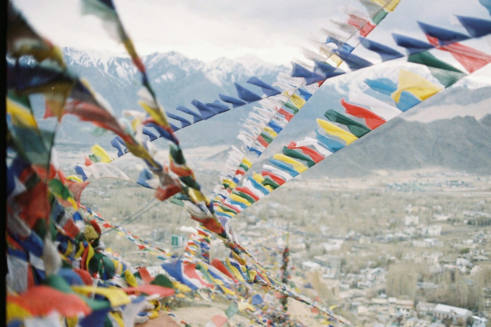 siriwan-srisuwan-66GdrhYHE7g-unsplash